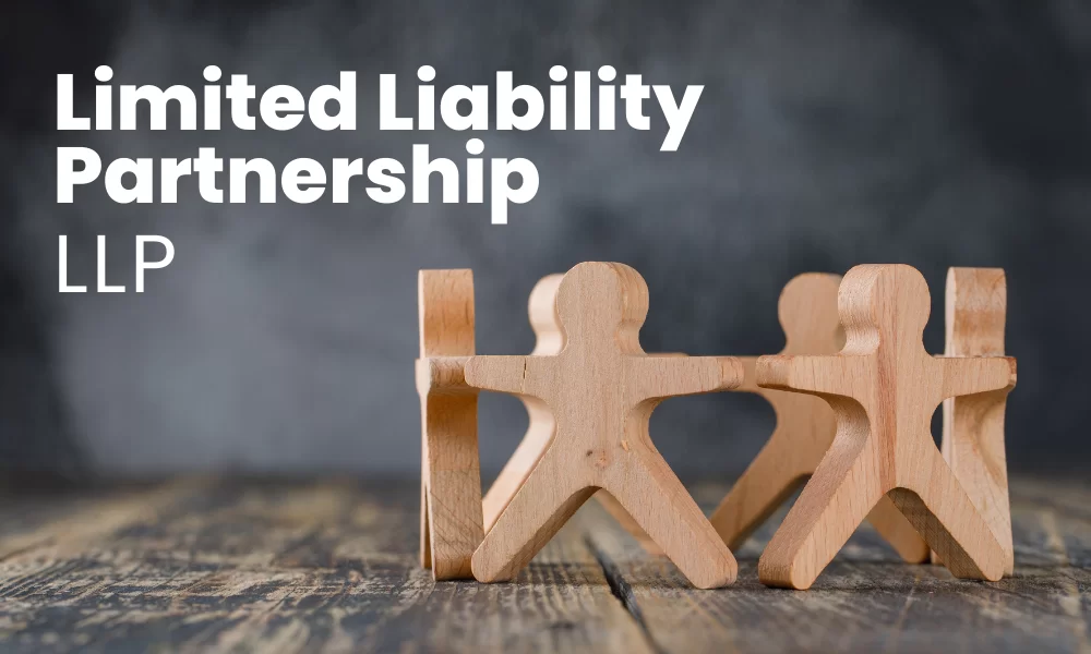 Dedicated CA expert for partnership firm